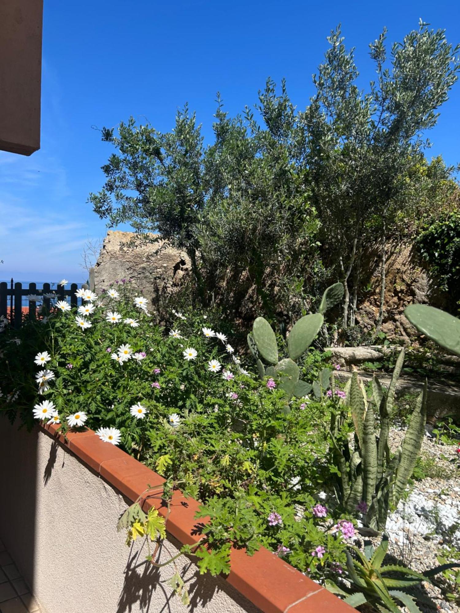 Arcobaleno Tropea Centro Bed & Breakfast Ngoại thất bức ảnh